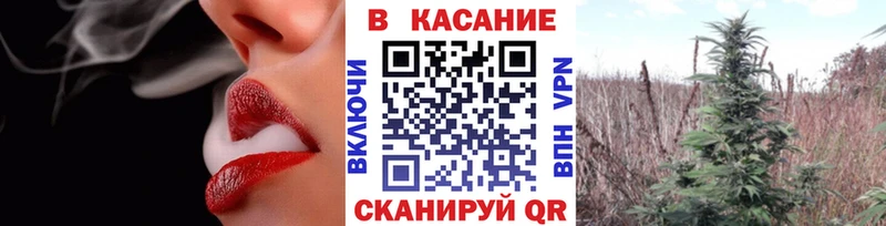 МЕФ Балтийск