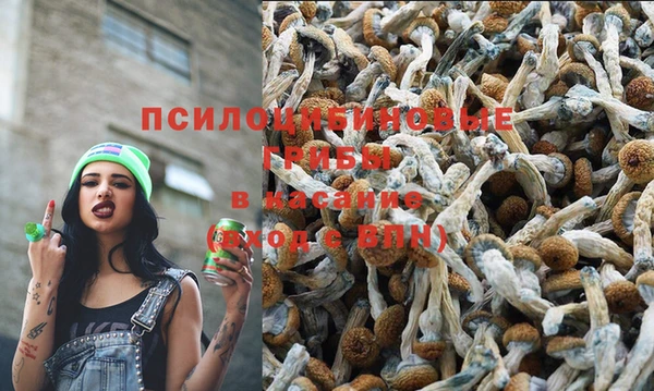 не бодяженный Армянск